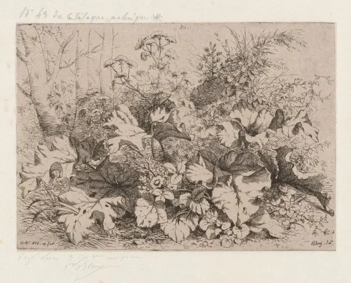Framed Print : Burdock in Bloom, 1858. Creator: Eugene Blery