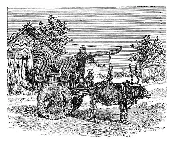 A Burmese wagon, Burma (Myanmar), 1895