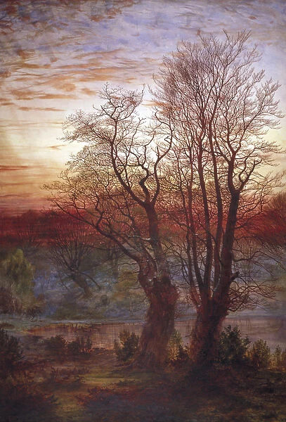 Burnham Beeches, c1841-1902. Artist: Andrew MacCallum