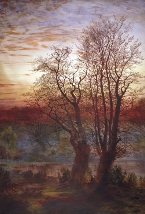 Framed Print : Burnham Beeches, c1841-1902. Artist: Andrew MacCallum Framed Print : Burnham Beeches, c1841-1902. Artist: Andrew MacCallum