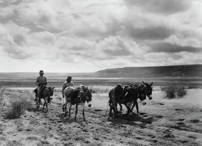 Framed Print : Burros and Moki men on the road, c1900. Creator: Edward Sheriff Curtis