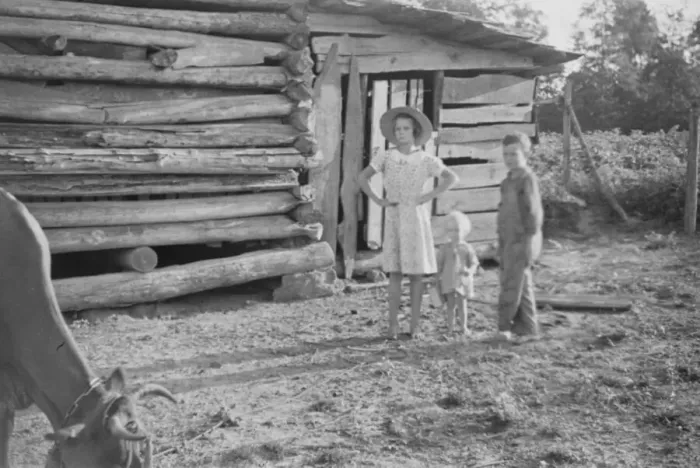 Framed Print : Burroughs children and cow near the barn, Hale County, Alabama, 1936. Creator: Walker Evans Framed Print : Burroughs children and cow near the barn, Hale County, Alabama, 1936. Creator: Walker Evans