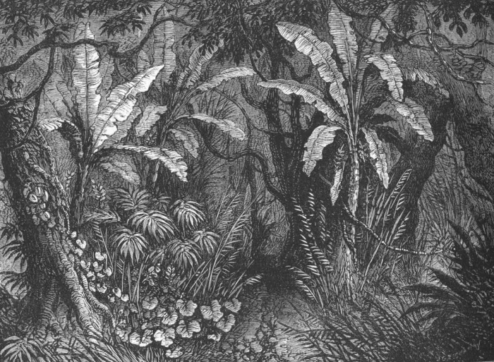 Framed Print : In the Bush, c1880. Artist: John Greenaway