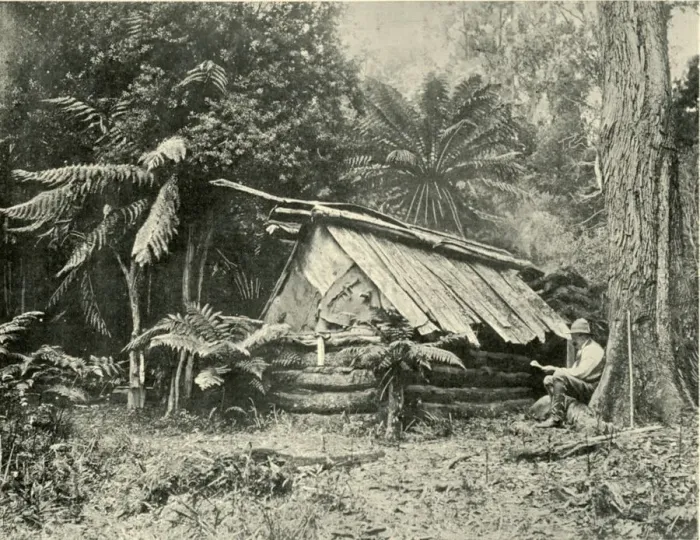 Framed Print : Bush Hut, Dandenong Ranges, Victoria, 1901. Creator: Unknown Framed Print : Bush Hut, Dandenong Ranges, Victoria, 1901. Creator: Unknown