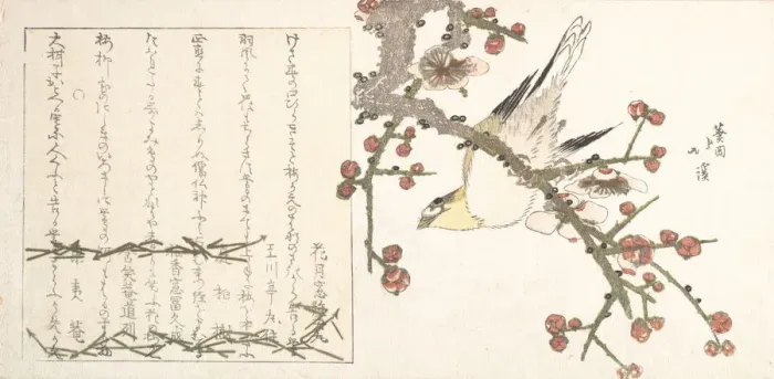 Framed Print : Bush Warbler on a Plum Branch (Ume ni uguisu), early 19th century. Creator: Totoya Hokkei Framed Print : Bush Warbler on a Plum Branch (Ume ni uguisu), early 19th century. Creator: Totoya Hokkei