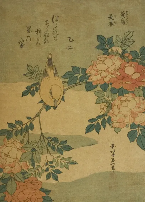 Framed Print : Bush Warbler and Rose (Kocho, bara), from an untitled series of flowers and birds, Japan Framed Print : Bush Warbler and Rose (Kocho, bara), from an untitled series of flowers and birds, Japan