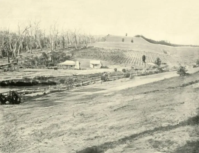 Framed Print : Bush Workmans Home, Gippsland, Victoria, 1901. Creator: Unknown Framed Print : Bush Workmans Home, Gippsland, Victoria, 1901. Creator: Unknown