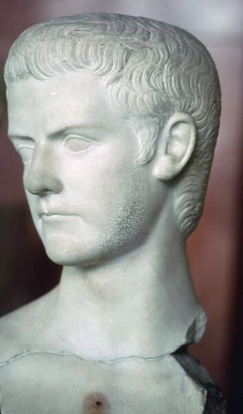 Bust of Caligula, 1st century