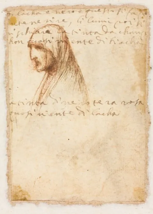 Framed Print : Bust-Length Profile of an Old Woman (verso), c. 1521. Creator: Dosso Dossi (Italian, c Framed Print : Bust-Length Profile of an Old Woman (verso), c. 1521. Creator: Dosso Dossi (Italian, c