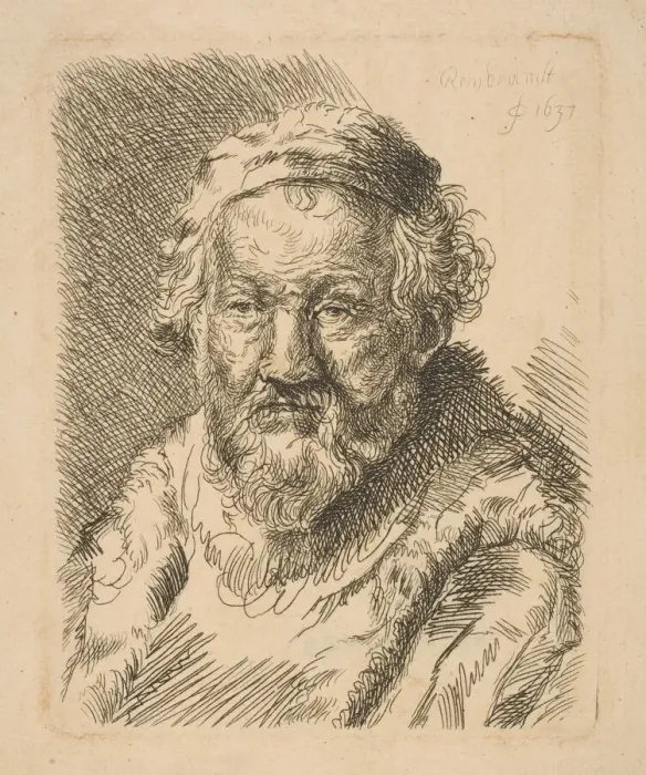 Framed Print : Bust of an Old Man in a Coat and Fur Collar (copy). n. d. Creator