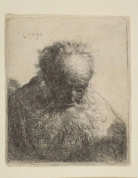 Bust of an Old Man with a Flowing Beard: the Head Bowed Forward: Left Shoulder Unshaded