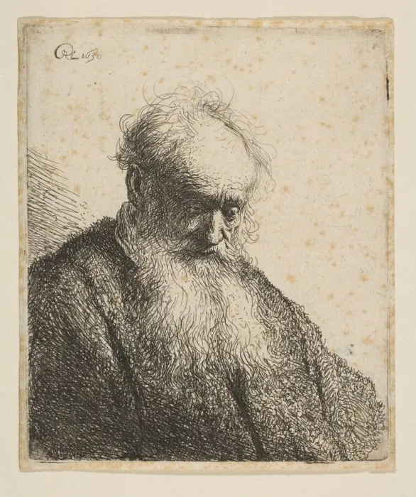 Framed Print : Bust of an Old Man with Flowing Beard: the Head Inclined Three-Quarters Right, 1630 Framed Print : Bust of an Old Man with Flowing Beard: the Head Inclined Three-Quarters Right, 1630