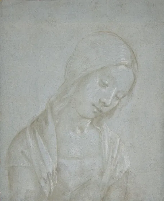 Framed Print : Bust of a Young Woman, ca. 1495. Creator: Attributed to Piero di Cosimo Framed Print : Bust of a Young Woman, ca. 1495. Creator: Attributed to Piero di Cosimo