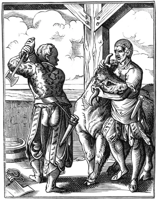 Framed Print : Butcher, 16th century (1849). Artist: Jost Amman Framed Print : Butcher, 16th century (1849). Artist: Jost Amman