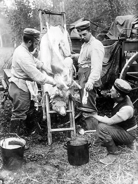 Butchering a sheep on the Front Line, c. 1914-18