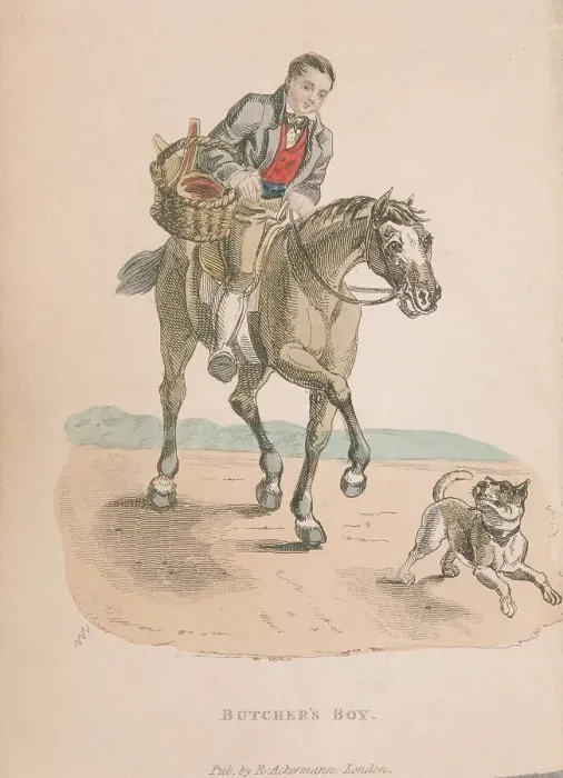 Framed Print : Butchers boy riding a horse accompanied by a dog running ahead, carrying a basket of meat, c1830 Framed Print : Butchers boy riding a horse accompanied by a dog running ahead, carrying a basket of meat, c1830