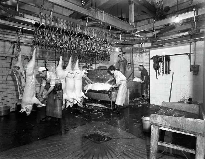 Framed Print : Butchery factory, Rawmarsh, South Yorkshire, 1955. Artist: Michael Walters Framed Print : Butchery factory, Rawmarsh, South Yorkshire, 1955. Artist: Michael Walters