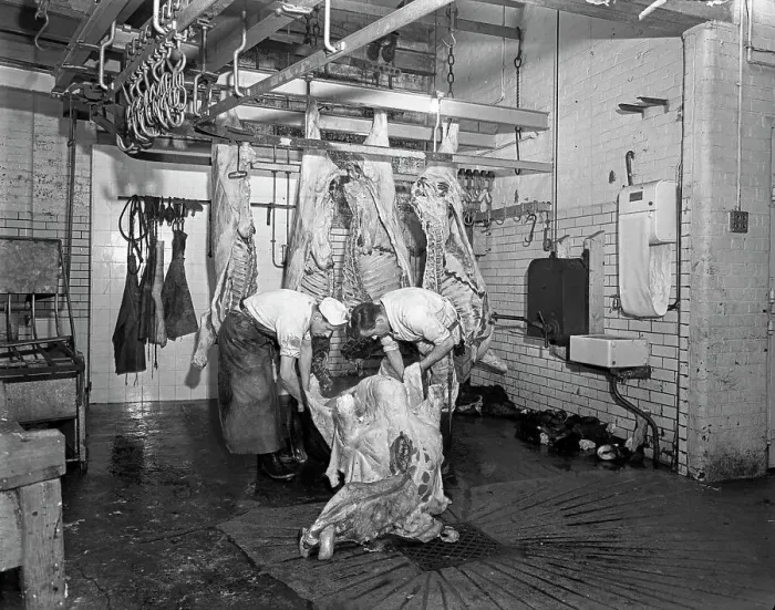 Framed Print : Butchery factory, Rawmarsh, South Yorkshire, 1955. Artist: Michael Walters Framed Print : Butchery factory, Rawmarsh, South Yorkshire, 1955. Artist: Michael Walters