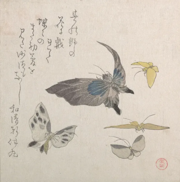 Framed Print : Butterflies, 19th century. Creator: Kubo Shunman Framed Print : Butterflies, 19th century. Creator: Kubo Shunman