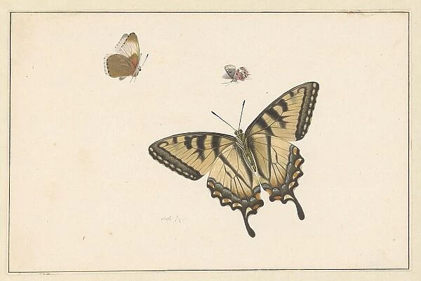 Three Butterflies, c.1683-c.1726. Creator: Herman Henstenburgh