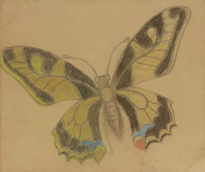 Framed Print : Butterfly (Old World Swallowtail), 1897-1898. Creator: Stanislaw Wyspianski Framed Print : Butterfly (Old World Swallowtail), 1897-1898. Creator: Stanislaw Wyspianski