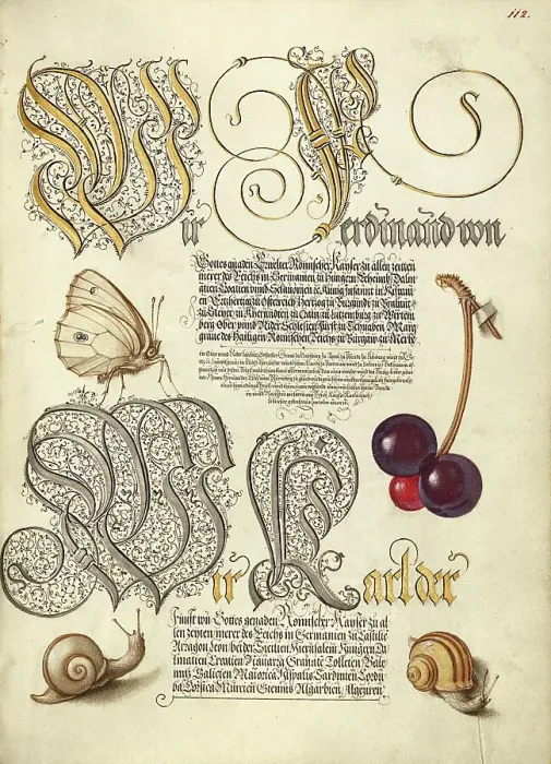 Framed Print : Butterfly, Sweet Cherry, and Land Snails, 1561-1562; illumination added 1591-1596. Creator: Joris Hoefnagel Framed Print : Butterfly, Sweet Cherry, and Land Snails, 1561-1562; illumination added 1591-1596. Creator: Joris Hoefnagel