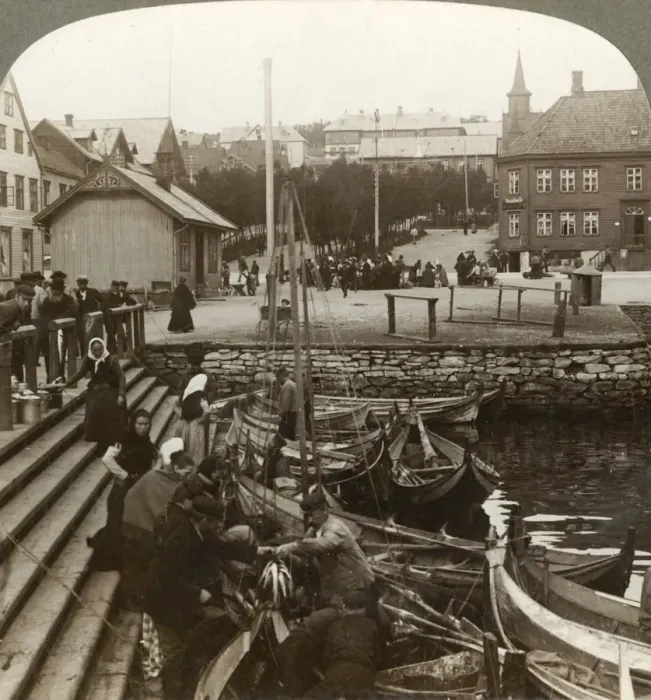 Framed Print : Buying fish in a busy Arctic trading port, Tromsoe (69°38 N. Lat. ), Northern Norway Framed Print : Buying fish in a busy Arctic trading port, Tromsoe (69°38 N. Lat. ), Northern Norway