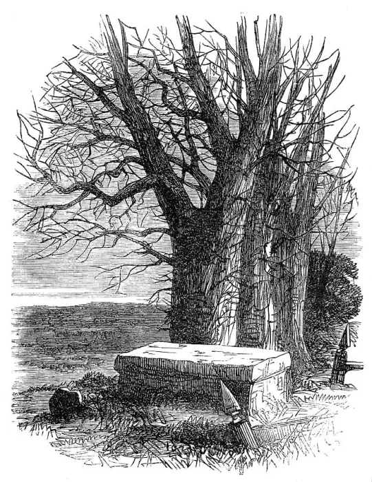 Framed Print : Byron's Tomb at Harrow, 1862. Creator: Unknown. Byron's Tomb at Harrow, 1862. Creator: Unknown Framed Print : Byron's Tomb at Harrow, 1862. Creator: Unknown. Byron's Tomb at Harrow, 1862. Creator: Unknown