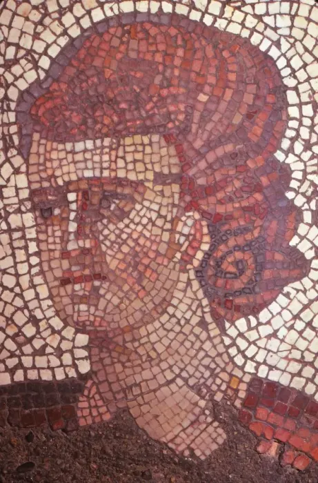 Framed Print : Byzantine Floor Mosaic in the Great Palace, Istanbul, 565 - 578 AD, (20th century)