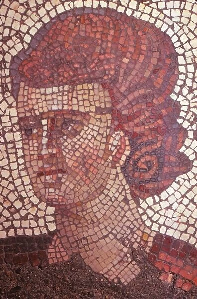 Byzantine Floor Mosaic in the Great Palace, Istanbul, 565 - 578 AD, (20th century)
