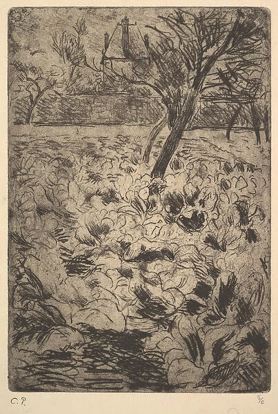 The Cabbage Field, ca. 1880. Creator: Camille Pissarro