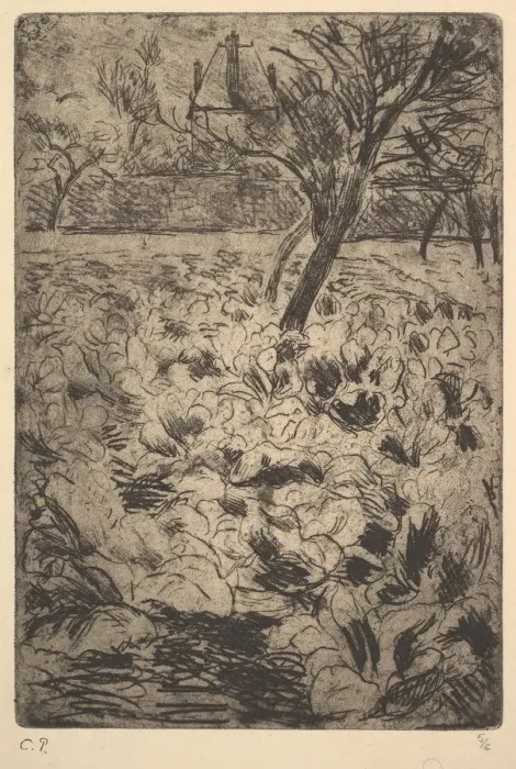 Framed Print : The Cabbage Field, ca. 1880. Creator: Camille Pissarro Framed Print : The Cabbage Field, ca. 1880. Creator: Camille Pissarro