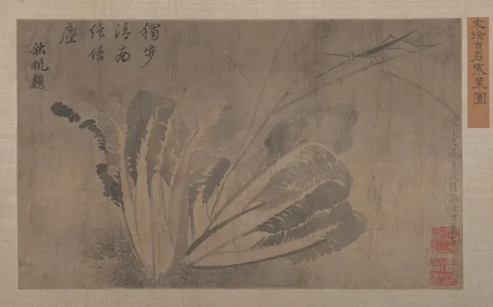 Framed Print : Cabbage and Insects. Creator: Xu Daoguang Framed Print : Cabbage and Insects. Creator: Xu Daoguang