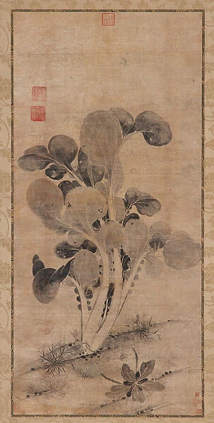 A Cabbage Plant, Late Yuan or early Ming dynasty, 14th-15th century. Creator: Unknown