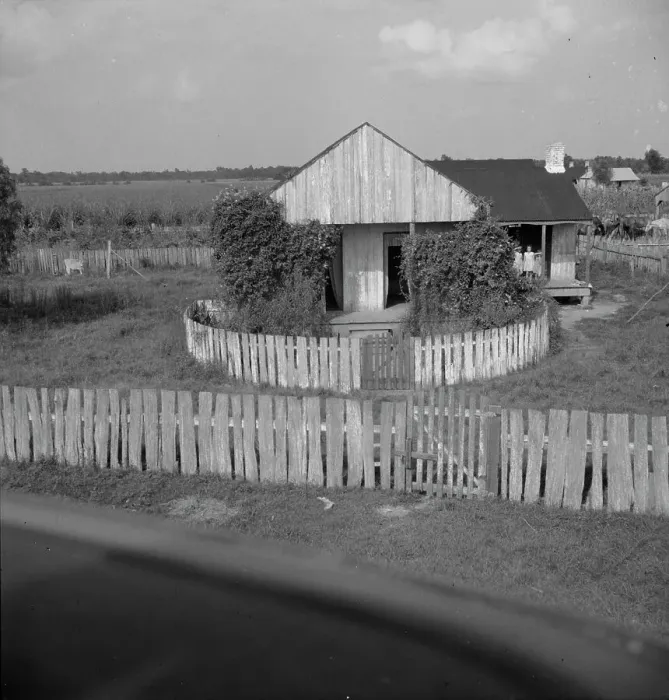 Framed Print : Cabin of sugarcane worker, Bayou La Fourche, Louisiana, 1937. Creator: Dorothea Lange Framed Print : Cabin of sugarcane worker, Bayou La Fourche, Louisiana, 1937. Creator: Dorothea Lange