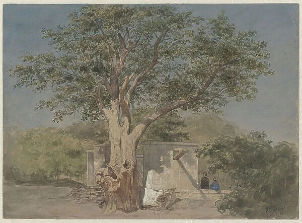 Cabin under a tree in Cairo, 1858. Creator: Willem de Famars Testas