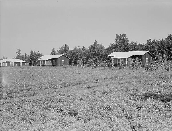 Cabins at the Delta cooperative farm, Hillhouse, Mississippi, 1937. Creator: Dorothea Lange