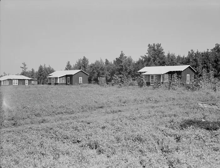 Framed Print : Cabins at the Delta cooperative farm, Hillhouse, Mississippi, 1937. Creator: Dorothea Lange Framed Print : Cabins at the Delta cooperative farm, Hillhouse, Mississippi, 1937. Creator: Dorothea Lange