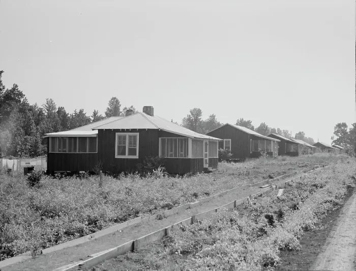 Framed Print : Cabins at the Delta cooperative farms, Hillhouse, Mississippi, 1937. Creator: Dorothea Lange Framed Print : Cabins at the Delta cooperative farms, Hillhouse, Mississippi, 1937. Creator: Dorothea Lange