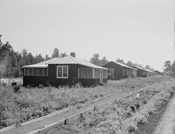 Cabins at the Delta cooperative farms, Hillhouse, Mississippi, 1937. Creator: Dorothea Lange
