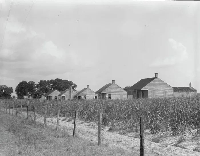Framed Print : Cabins for sugarcane workers, Bayou La Fourche, Louisiana, 1937. Creator: Dorothea Lange Framed Print : Cabins for sugarcane workers, Bayou La Fourche, Louisiana, 1937. Creator: Dorothea Lange