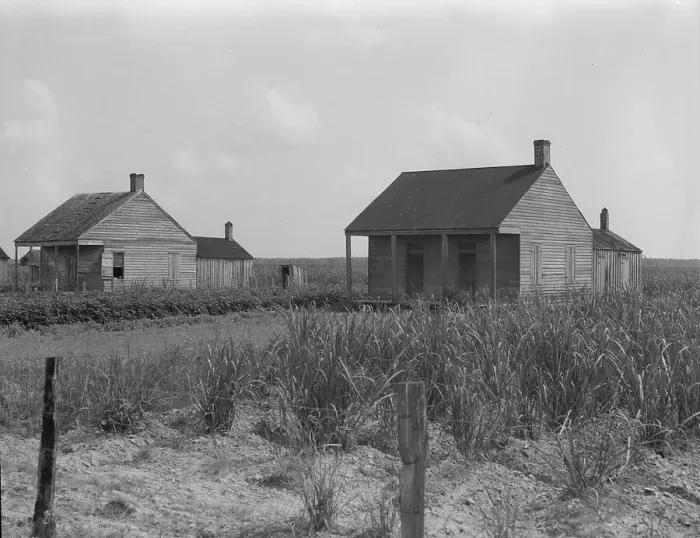 Framed Print : Cabins for sugarcane workers, Bayou La Fourche, Louisiana, 1937. Creator: Dorothea Lange