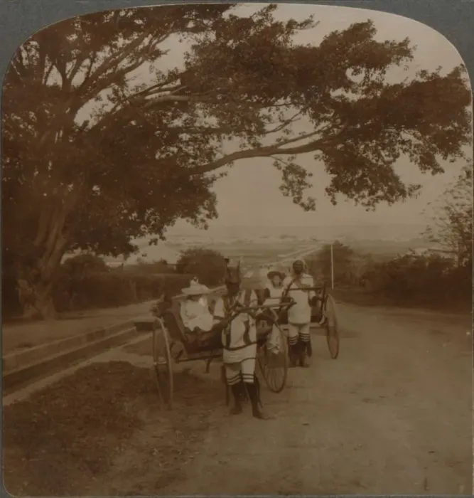 Framed Print : Cabs drawn by natives on a residence road, Durban, S. Africa, c1900 Framed Print : Cabs drawn by natives on a residence road, Durban, S. Africa, c1900