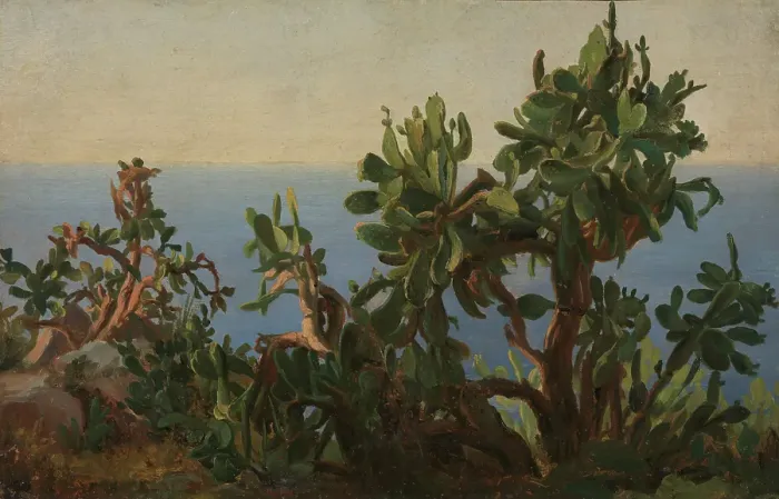 Framed Print : Cactus, probably 1833-1835. Creator: Thomas Fearnley Framed Print : Cactus, probably 1833-1835. Creator: Thomas Fearnley