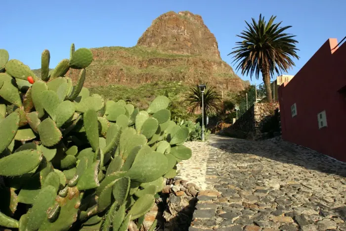 Framed Print : Cactus and street in Masca, Tenerife, Canary Islands, 2007 Framed Print : Cactus and street in Masca, Tenerife, Canary Islands, 2007