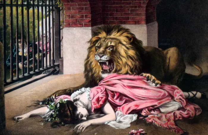 Framed Print : Caged Lion with sleeping woman. c19th century Framed Print : Caged Lion with sleeping woman. c19th century