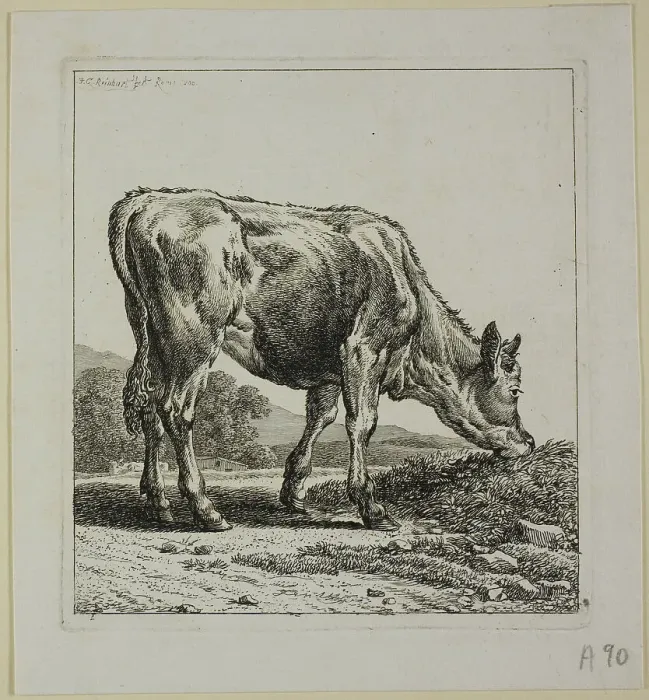 Framed Print : Calf Feeding, from Die Zweite Thierfolge, 1800. Creator: Johann Christian Reinhart Framed Print : Calf Feeding, from Die Zweite Thierfolge, 1800. Creator: Johann Christian Reinhart