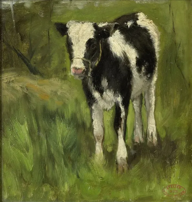 Framed Print : Calf, spotted black and white, c.1873-c.1903. Creator: George Poggenbeek Framed Print : Calf, spotted black and white, c.1873-c.1903. Creator: George Poggenbeek