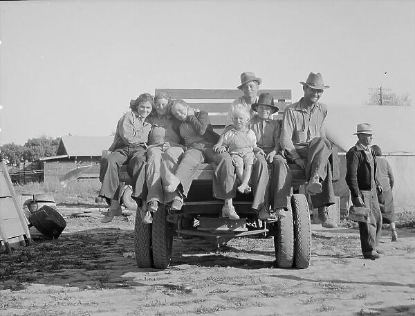 California pea pickers returning to camp... near Santa Clara, California, 1937. Creator: Dorothea Lange