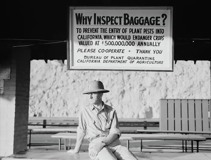 Framed Print : California state quarantine inspection station at Yuma, Arizona, 1937. Creator: Dorothea Lange Framed Print : California state quarantine inspection station at Yuma, Arizona, 1937. Creator: Dorothea Lange
